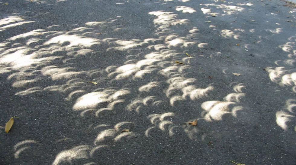 arboles sombra eclipse